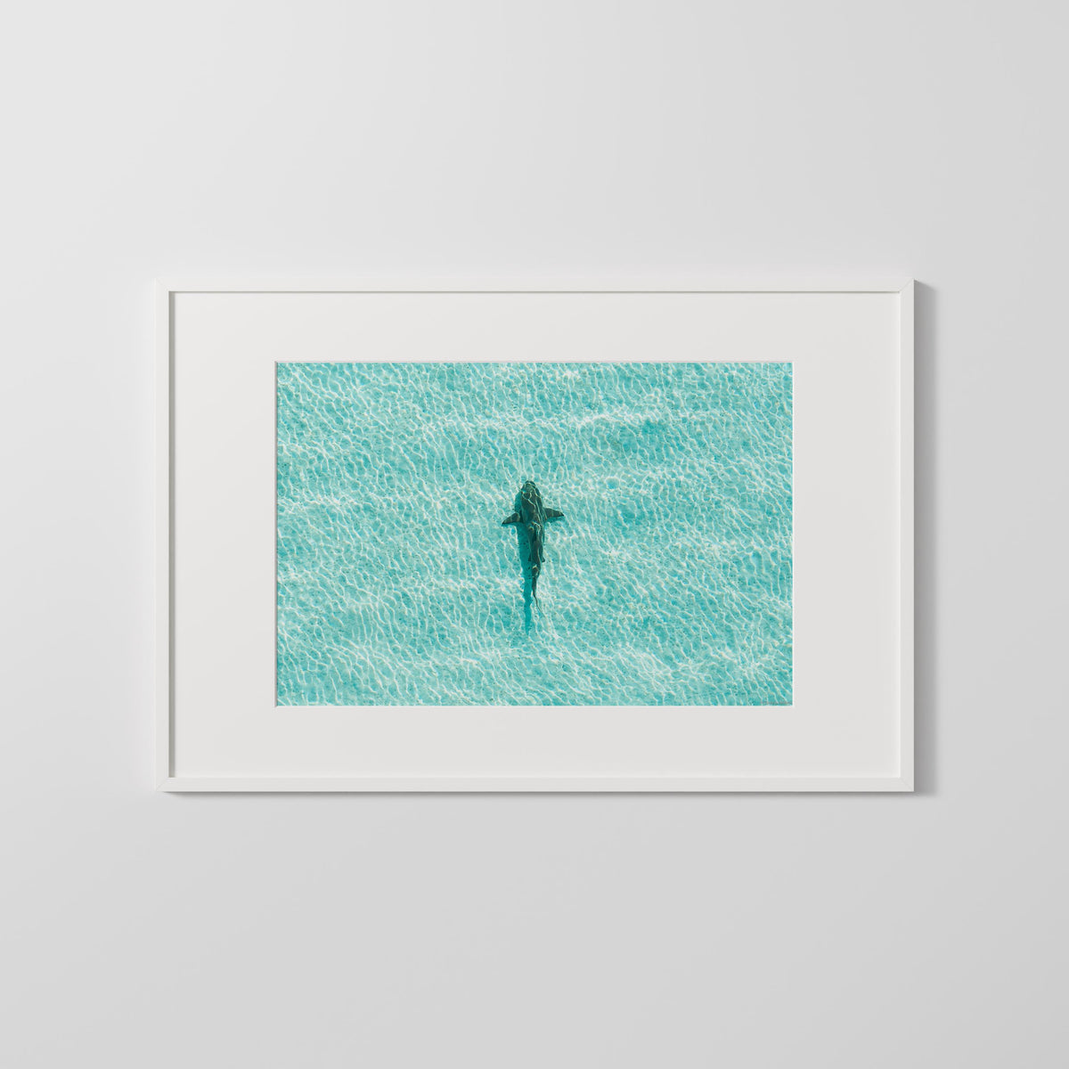 A framed art print featuring an aerial photograph of a shark swimming in turquoise ocean water, presented in a white frame against a light gray wall.