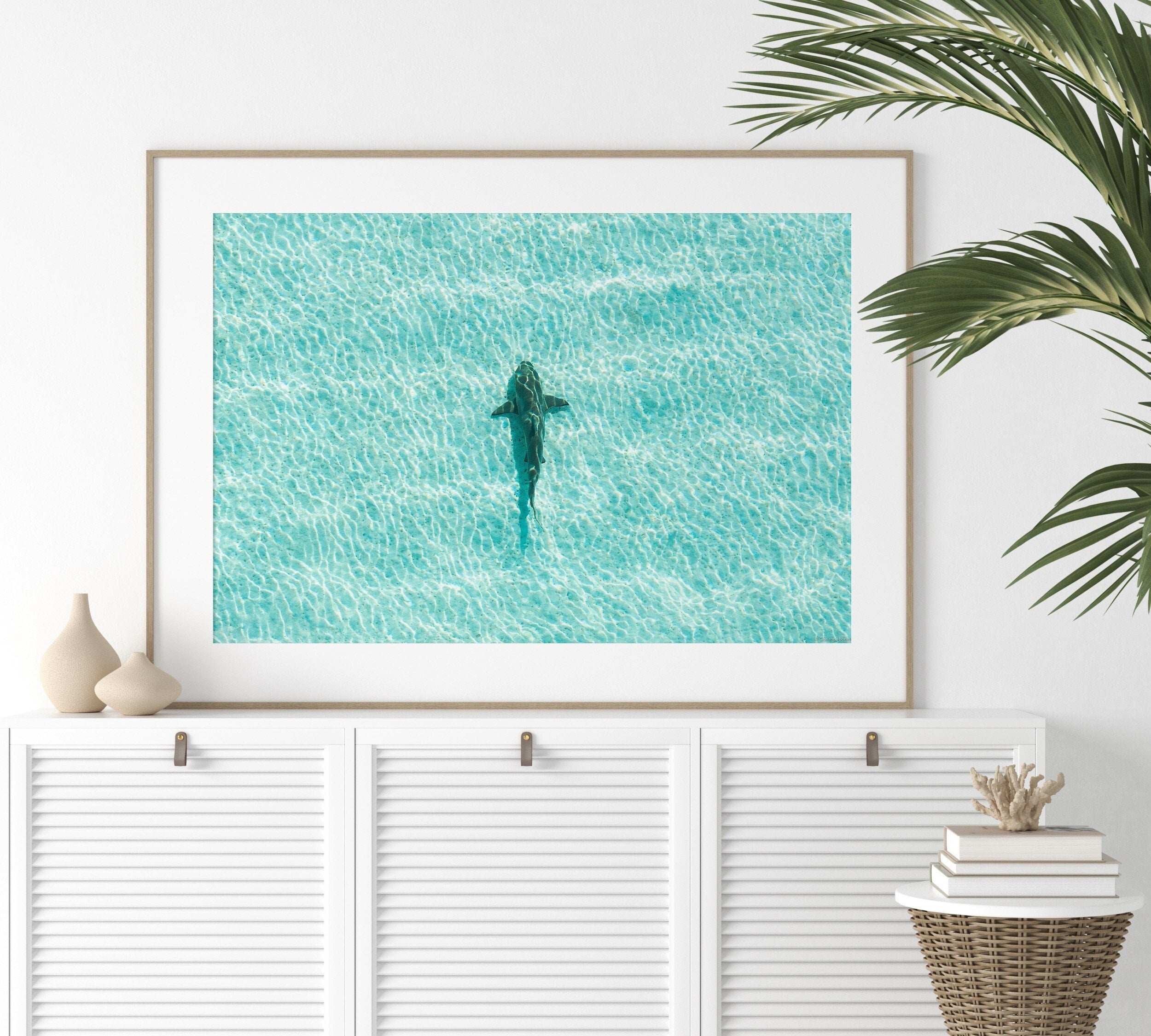 Shark Drone Print, Ocean Print, Ocean Wall Decor, Shark Art, Shark Gifts, Coastal Decor, Tropical Wall Art, Beach Poster, Turquoise Art