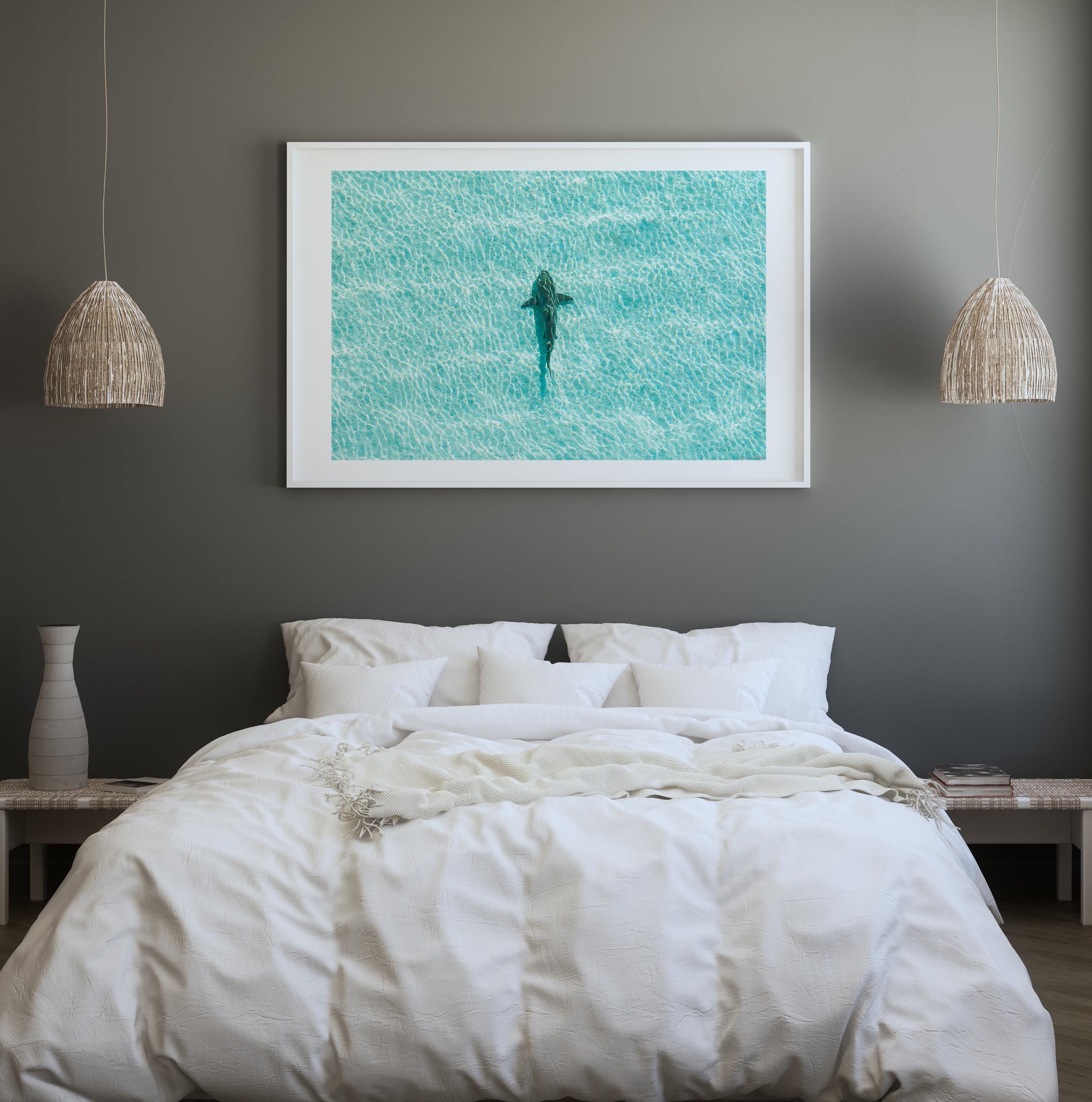 Ocean Coastal Wall Art, FRAMED or UNFRAMED Coastal Decor, Shark Art Print, Ocean Art Print, Shark Art, Shark Gifts, Large Blue Wall Art