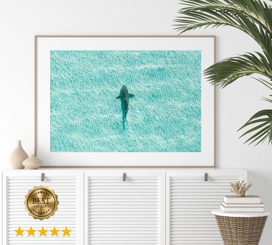 Ocean Coastal Wall Art, FRAMED or UNFRAMED Coastal Decor, Shark Art Print, Ocean Art Print, Shark Art, Shark Gifts, Large Blue Wall Art