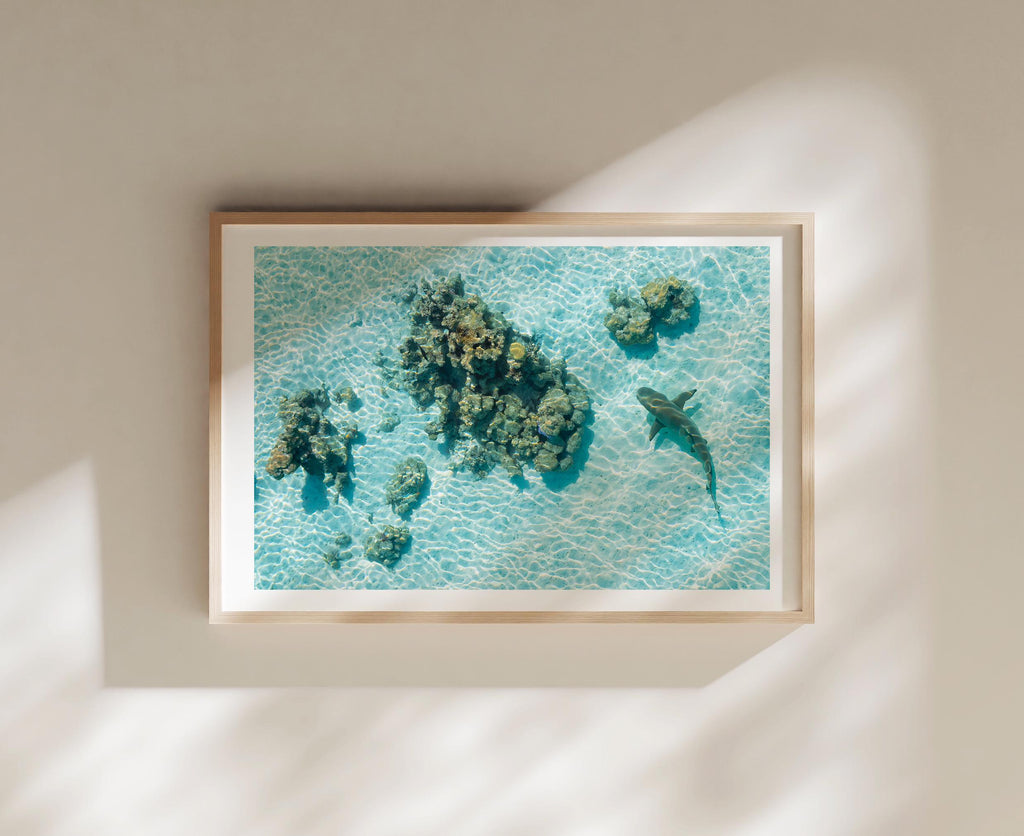 Coastal Prints, Beach Gallery Wall Art, Boho Coastal Photography, Summer Ocean Digital Posters, Shark Gift, Shark Art Print