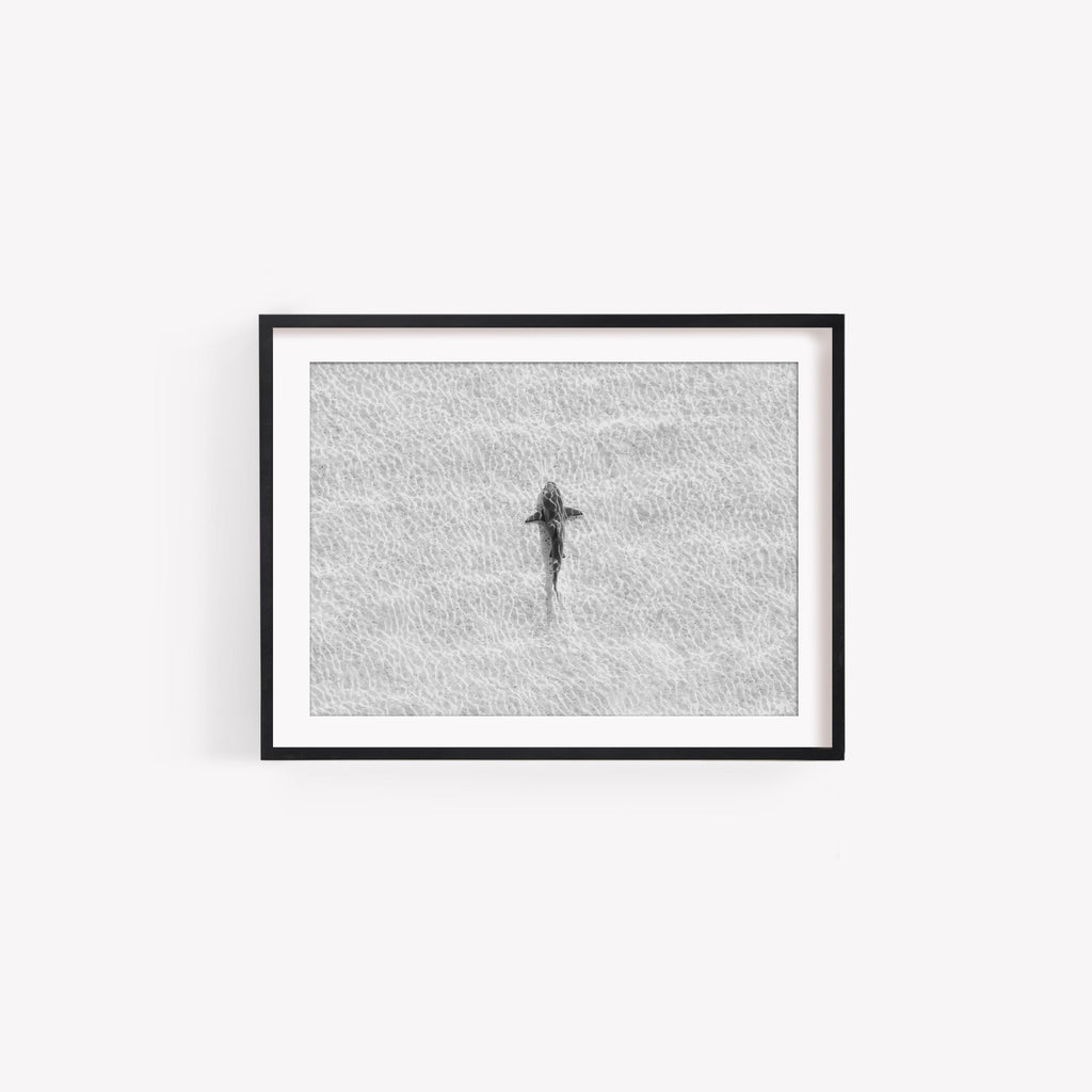 Black and White Coastal Prints, Shark Art, B&W Boho Coastal Photography, Summer Ocean Digital Poster, Printable Wall Art, Digital Download