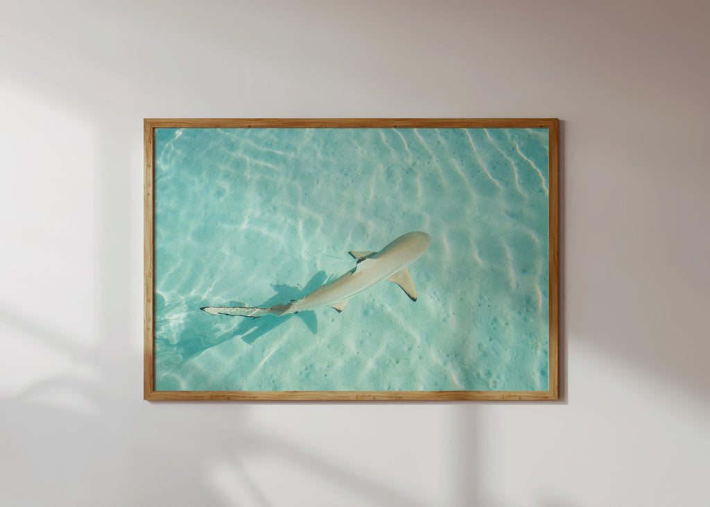 Coastal Wall Art Print, Beach House Decor, Nautical Poster, Ocean Aesthetic, Sea Themed Art, Digital Download, Shark Wall Print, Shark Gift