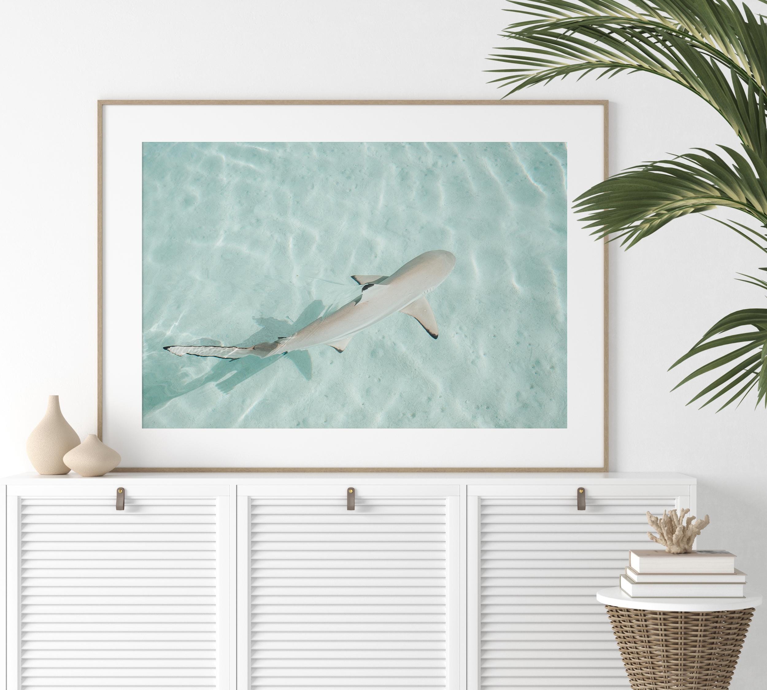 Minimalist Coastal Prints, Pastel Beach Wall Art, Boho Coastal Photography, Ocean Digital Poster, Shark Print, Printable Wall Art