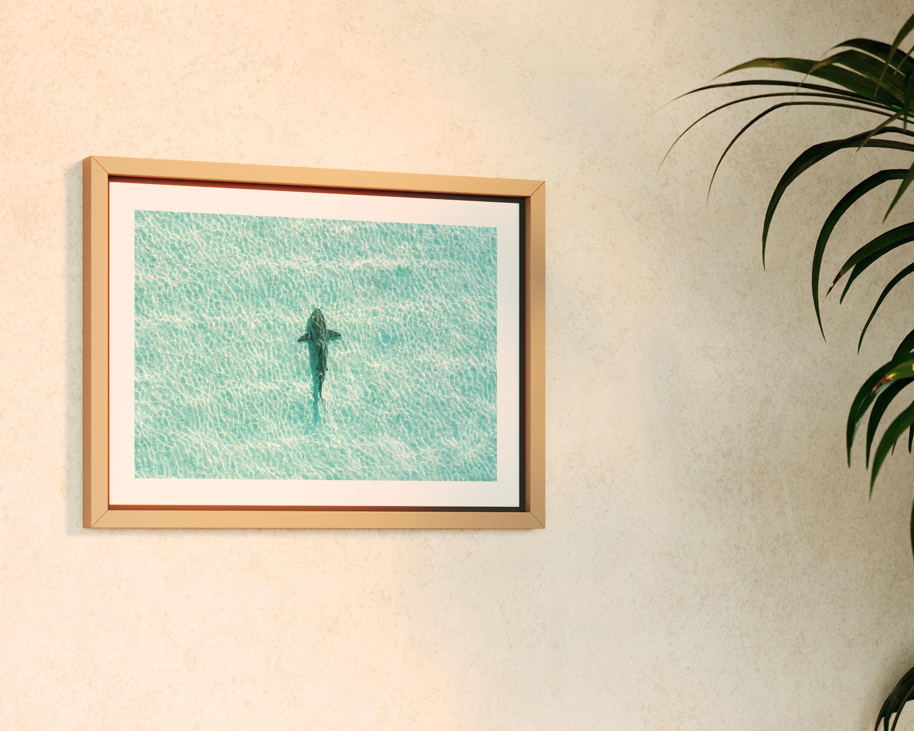 Shark Drone Print, Ocean Print, Ocean Wall Decor, Shark Art, Shark Gifts, Coastal Decor, Tropical Wall Art, Beach Poster, Turquoise Art