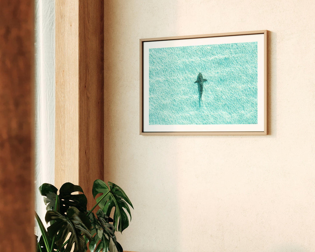 Shark Drone Print, Ocean Print, Ocean Wall Decor, Shark Art, Shark Gifts, Coastal Decor, Tropical Wall Art, Beach Poster, Turquoise Art