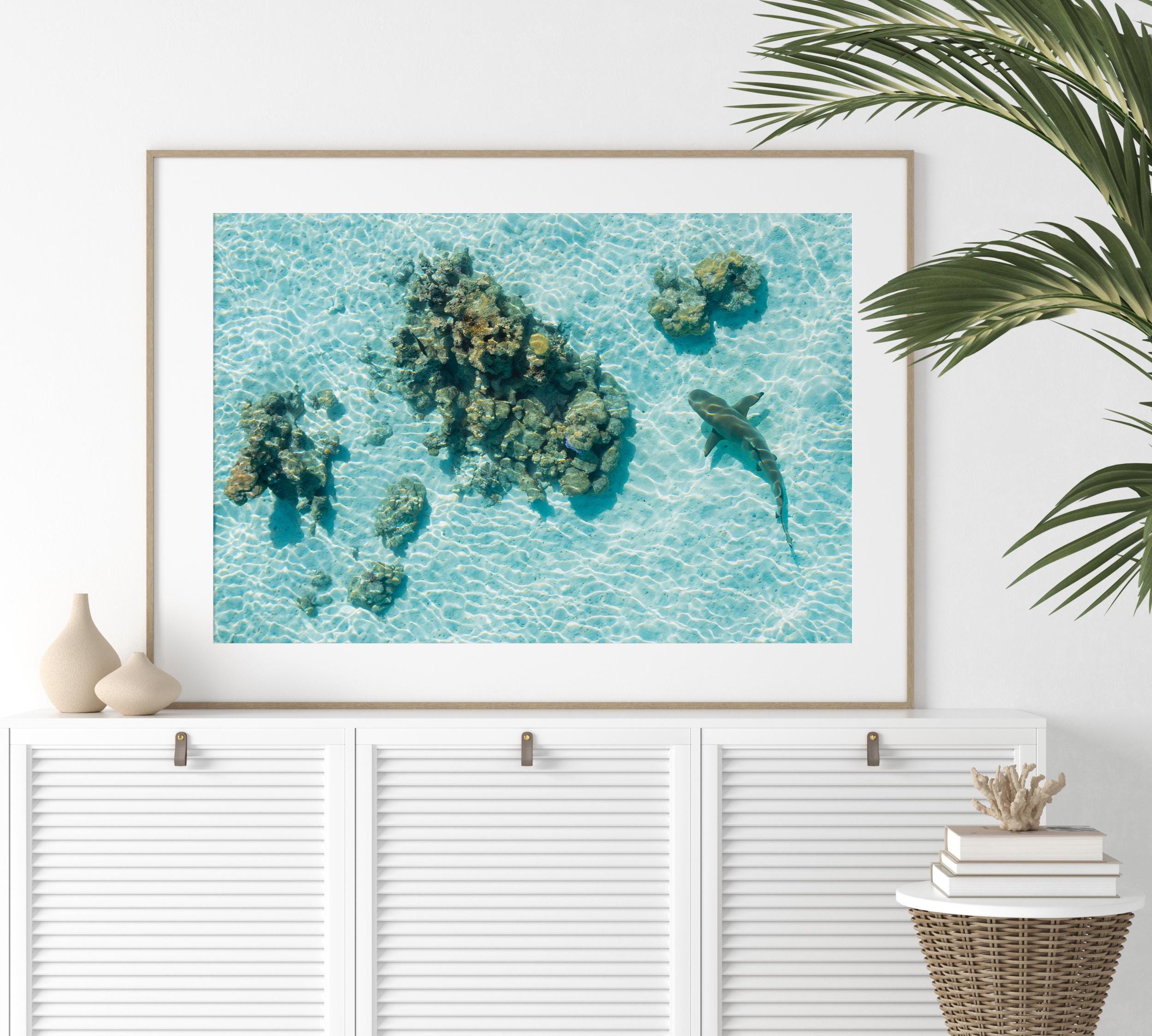 Coastal Prints, beach gallery wall art, boho coastal photography, summer ocean digital posters, printable wall art, shark art print