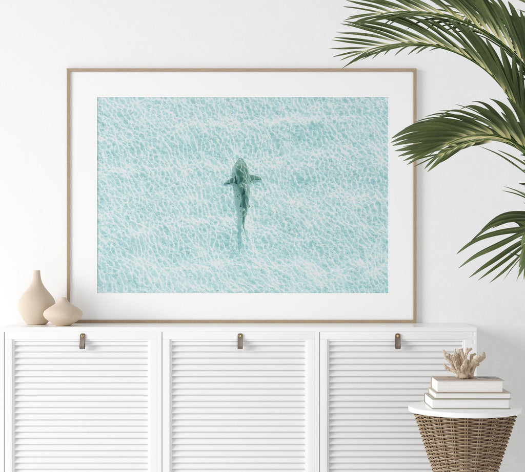 May include: Framed art print featuring an aerial view of a shark swimming in turquoise water. The shark is a muted green color, and the water has a rippled texture. The artwork is displayed above a white cabinet.