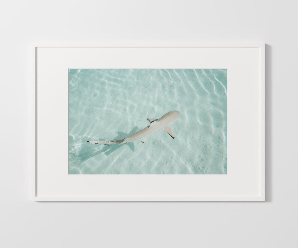 Minimalist Coastal Prints, Pastel Beach Wall Art, Boho Coastal Photography, Ocean Digital Poster, Shark Print, Printable Wall Art