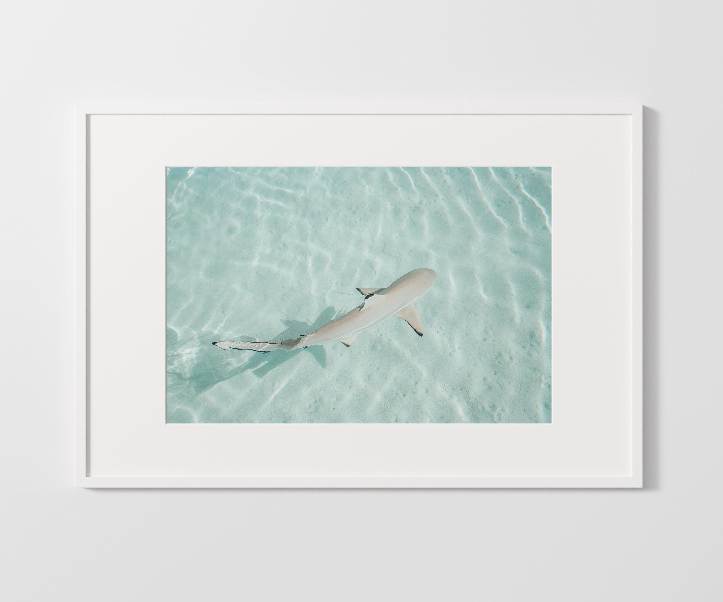 Minimalist Coastal Prints, Pastel Beach Wall Art, Boho Coastal Photography, Ocean Digital Poster, Shark Print, Printable Wall Art
