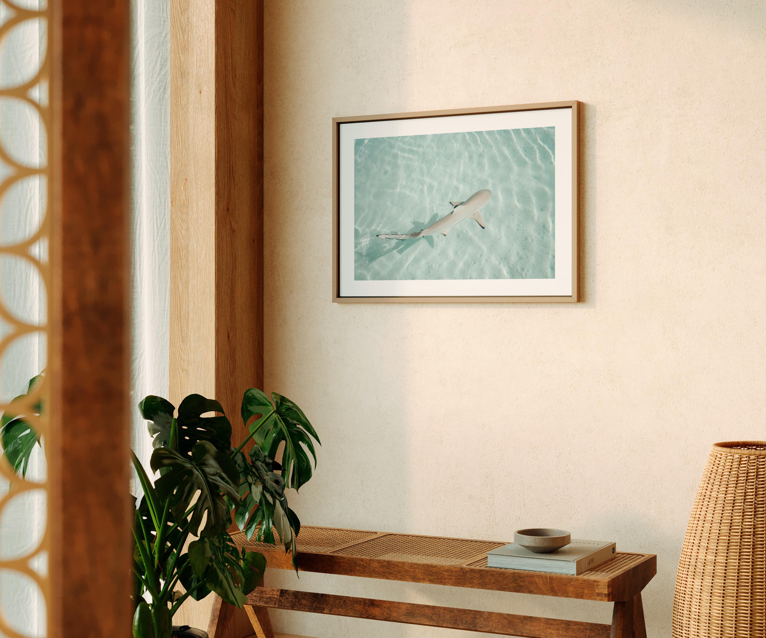 Minimalist Coastal Prints, Pastel Beach Wall Art, Boho Coastal Photography, Ocean Digital Poster, Shark Print, Printable Wall Art