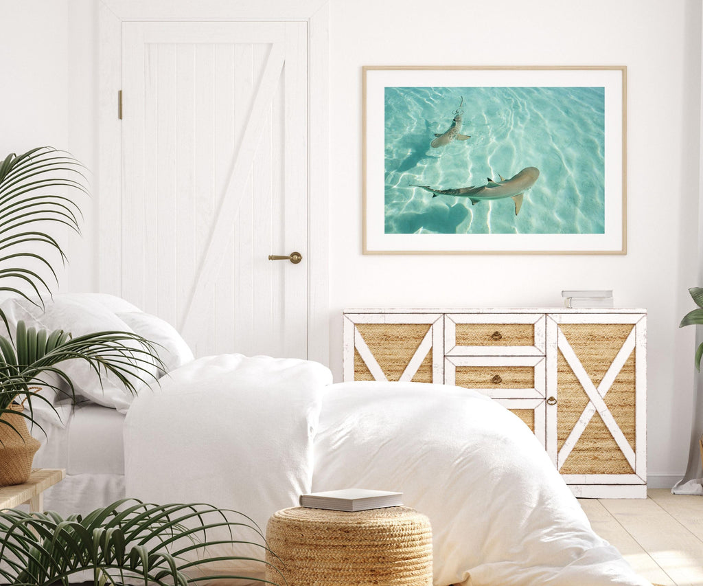 Shark Drone Print, Ocean Print, Ocean Wall Decor, Shark Art, Shark Gifts, Coastal Decor, Tropical Wall Art, Beach Poster, Turquoise Art