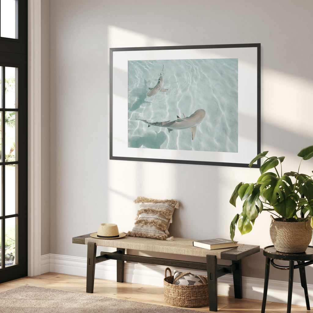 Minimalist Coastal Wall Art, Shark Ocean Photography Print, Neutral Beach Decor, Tropical Tahiti Printable, Coastal Bathroom Decor