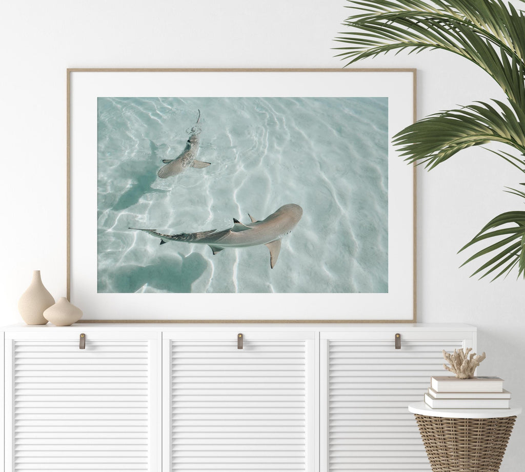 Minimalist Coastal Wall Art, Shark Ocean Photography Print, Neutral Beach Decor, Tropical Tahiti Printable, Coastal Bathroom Decor