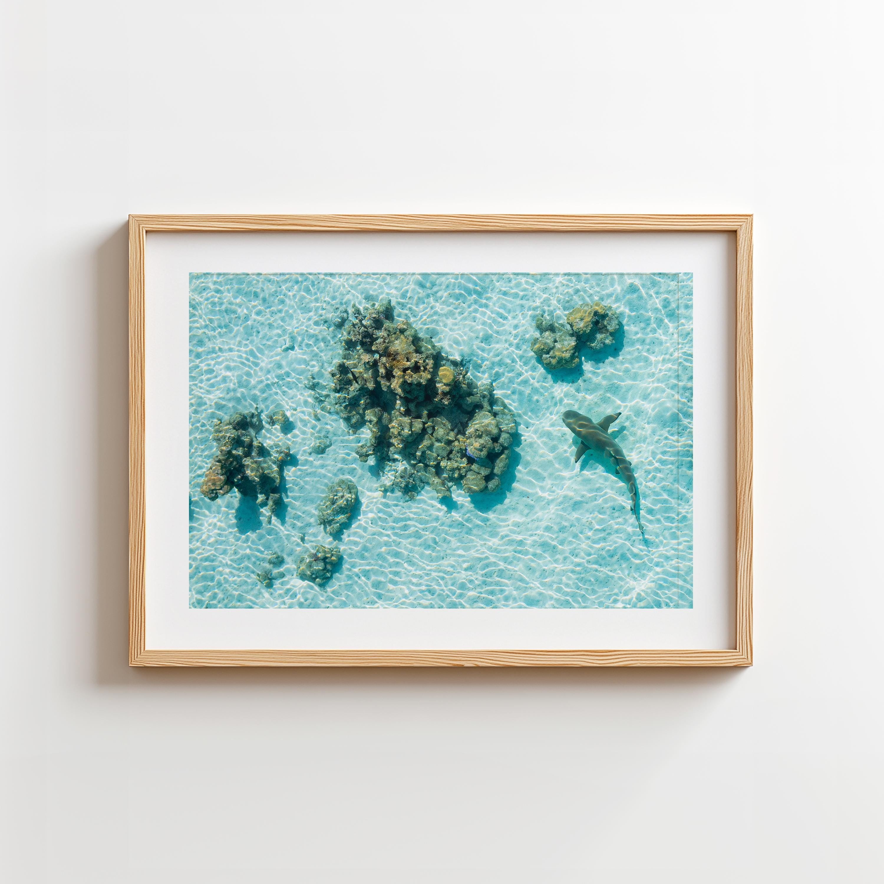 Coastal Prints, Beach Gallery Wall Art, Boho Coastal Photography, Summer Ocean Digital Posters, Shark Gift, Shark Art Print