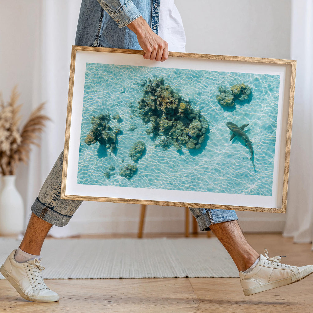Coastal Prints, Beach Gallery Wall Art, Boho Coastal Photography, Summer Ocean Digital Posters, Shark Gift, Shark Art Print