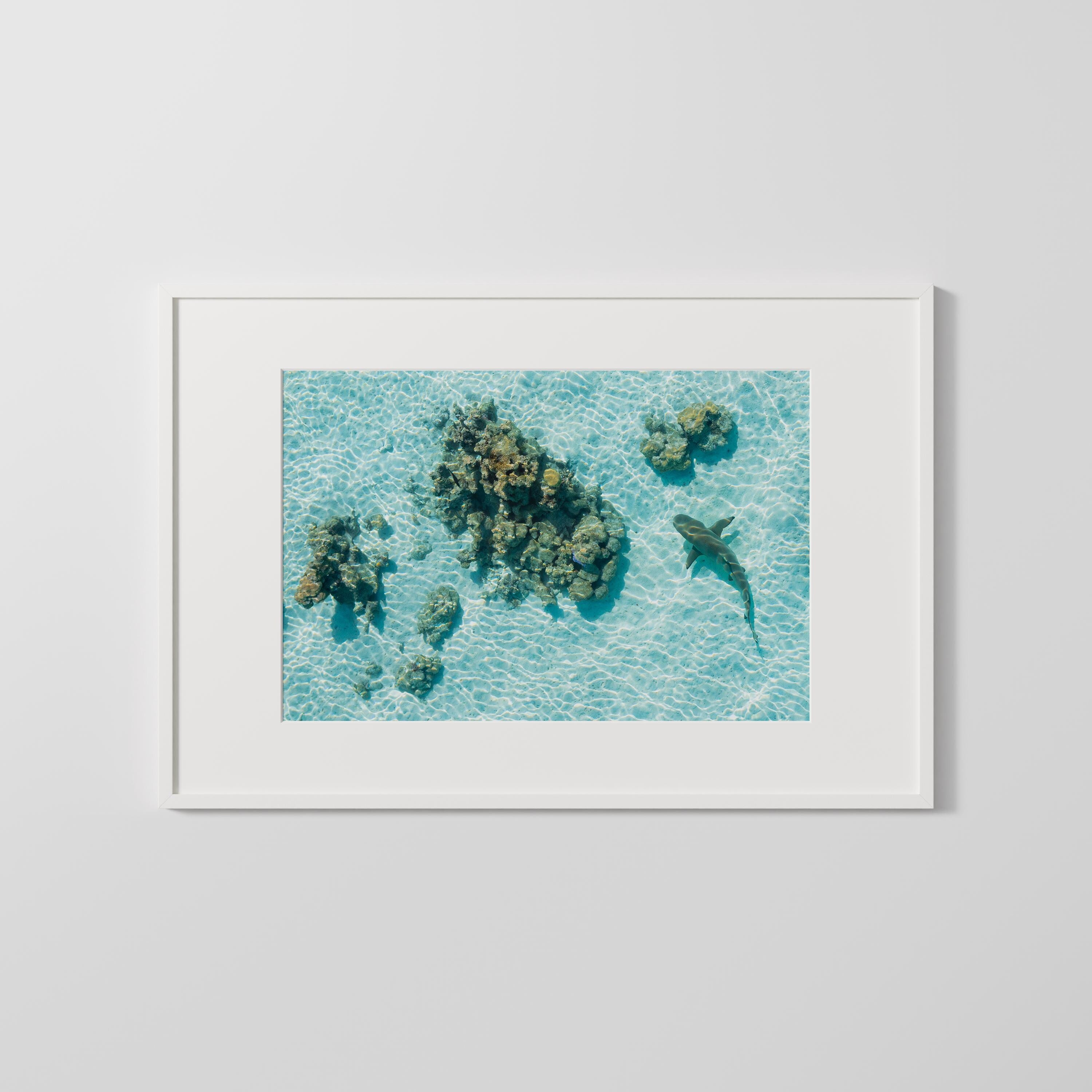 Coastal Prints, beach gallery wall art, boho coastal photography, summer ocean digital posters, printable wall art, shark art print