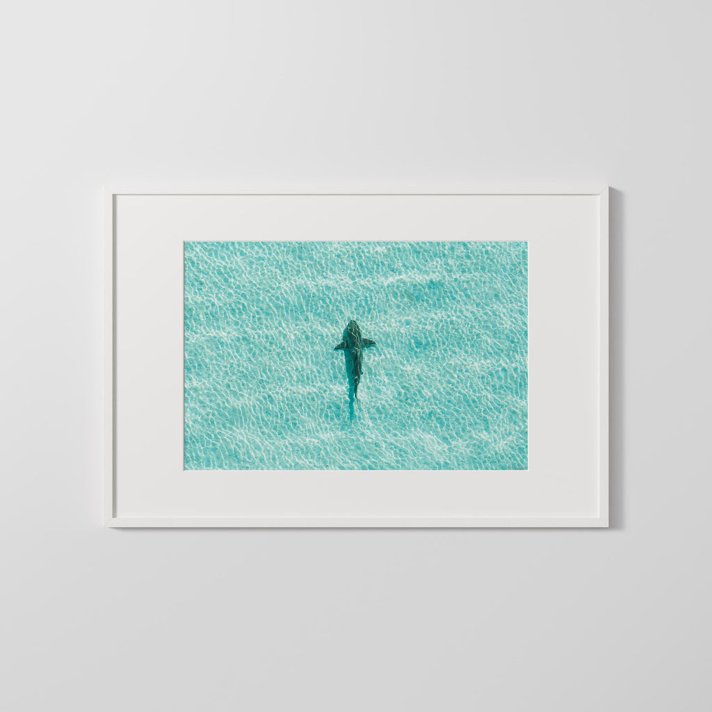 Shark Drone Print, Ocean Print, Ocean Wall Decor, Shark Art, Shark Gifts, Coastal Decor, Tropical Wall Art, Beach Poster, Turquoise Art