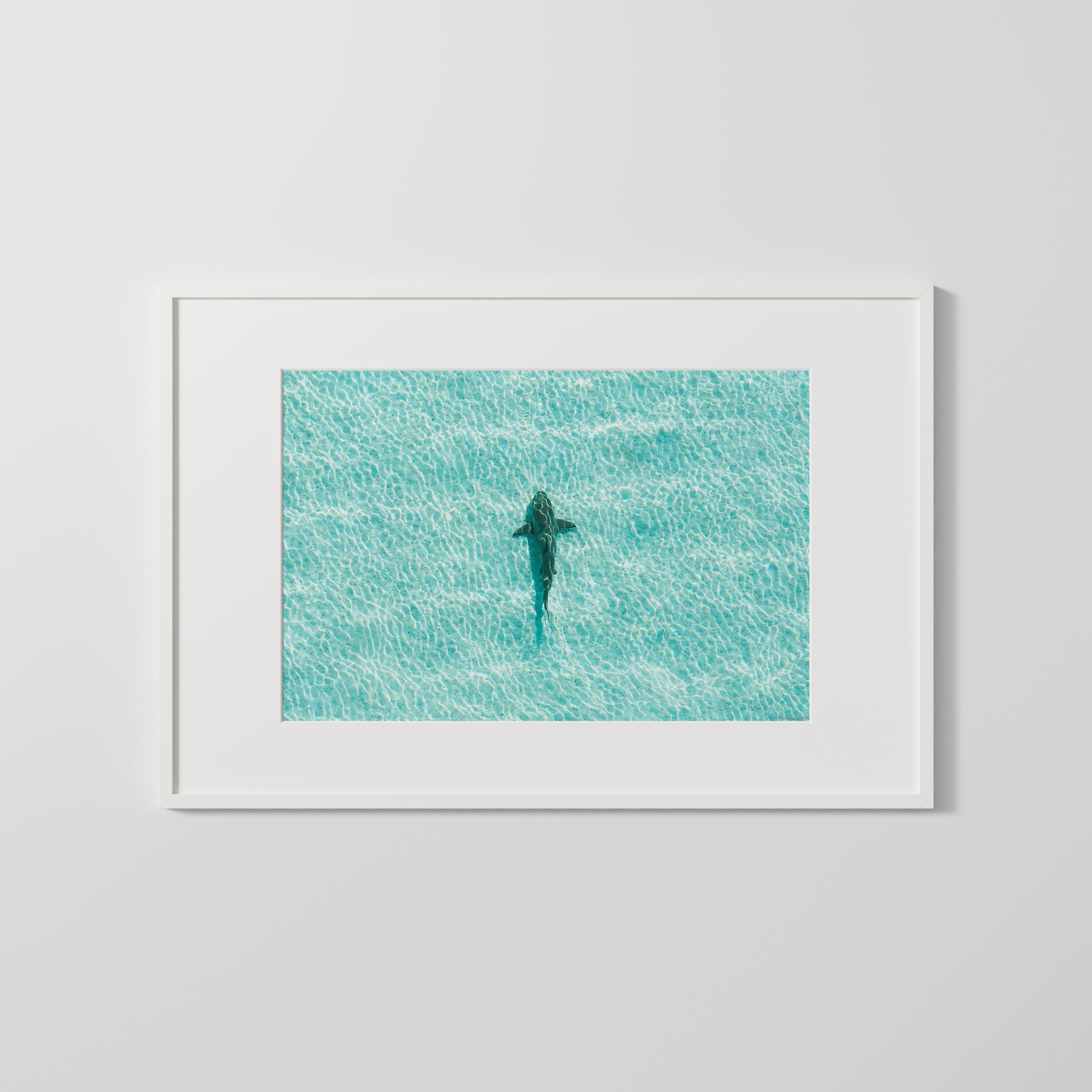 Shark Drone Print, Ocean Print, Ocean Wall Decor, Shark Art, Shark Gifts, Coastal Decor, Tropical Wall Art, Beach Poster, Turquoise Art