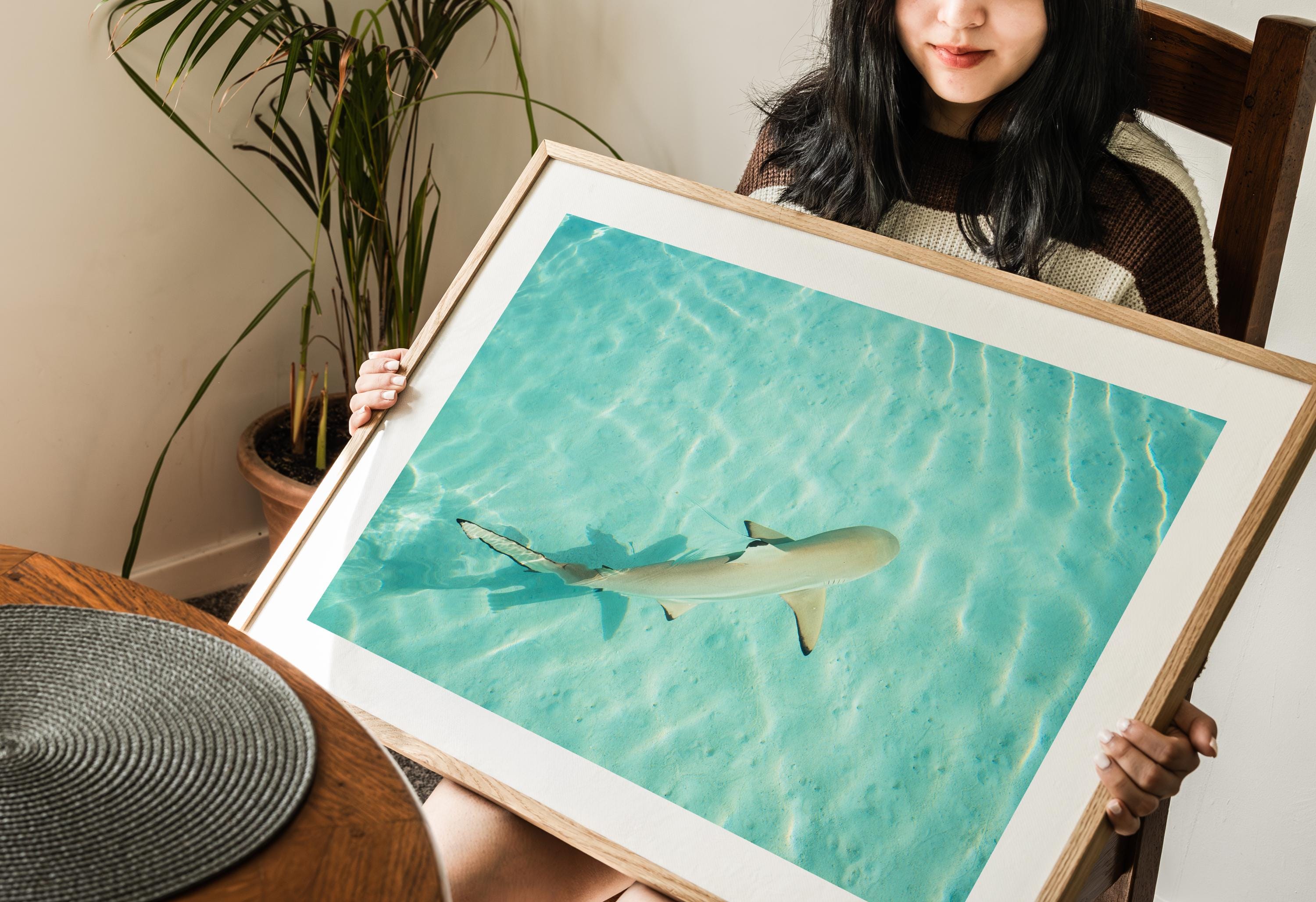 Coastal Wall Art Print, Beach House Decor, Nautical Poster, Ocean Aesthetic, Sea Themed Art, Digital Download, Shark Wall Print, Shark Gift