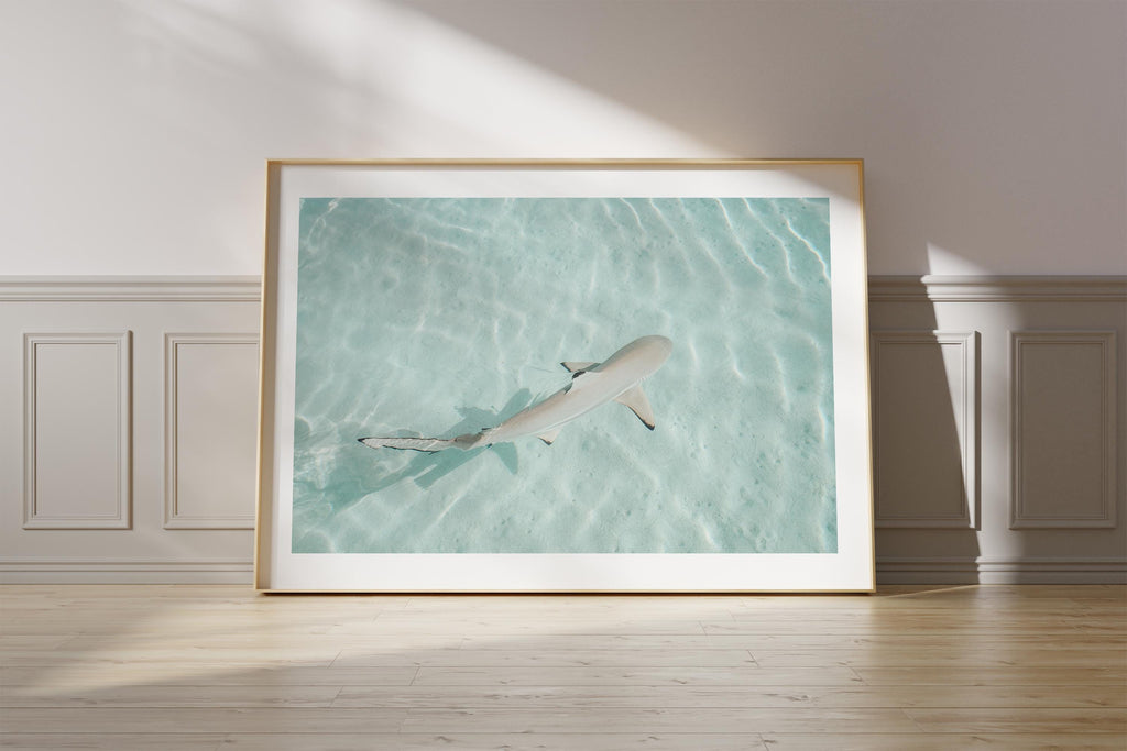Minimalist Coastal Prints, Pastel Beach Wall Art, Boho Coastal Photography, Ocean Digital Poster, Shark Print, Printable Wall Art