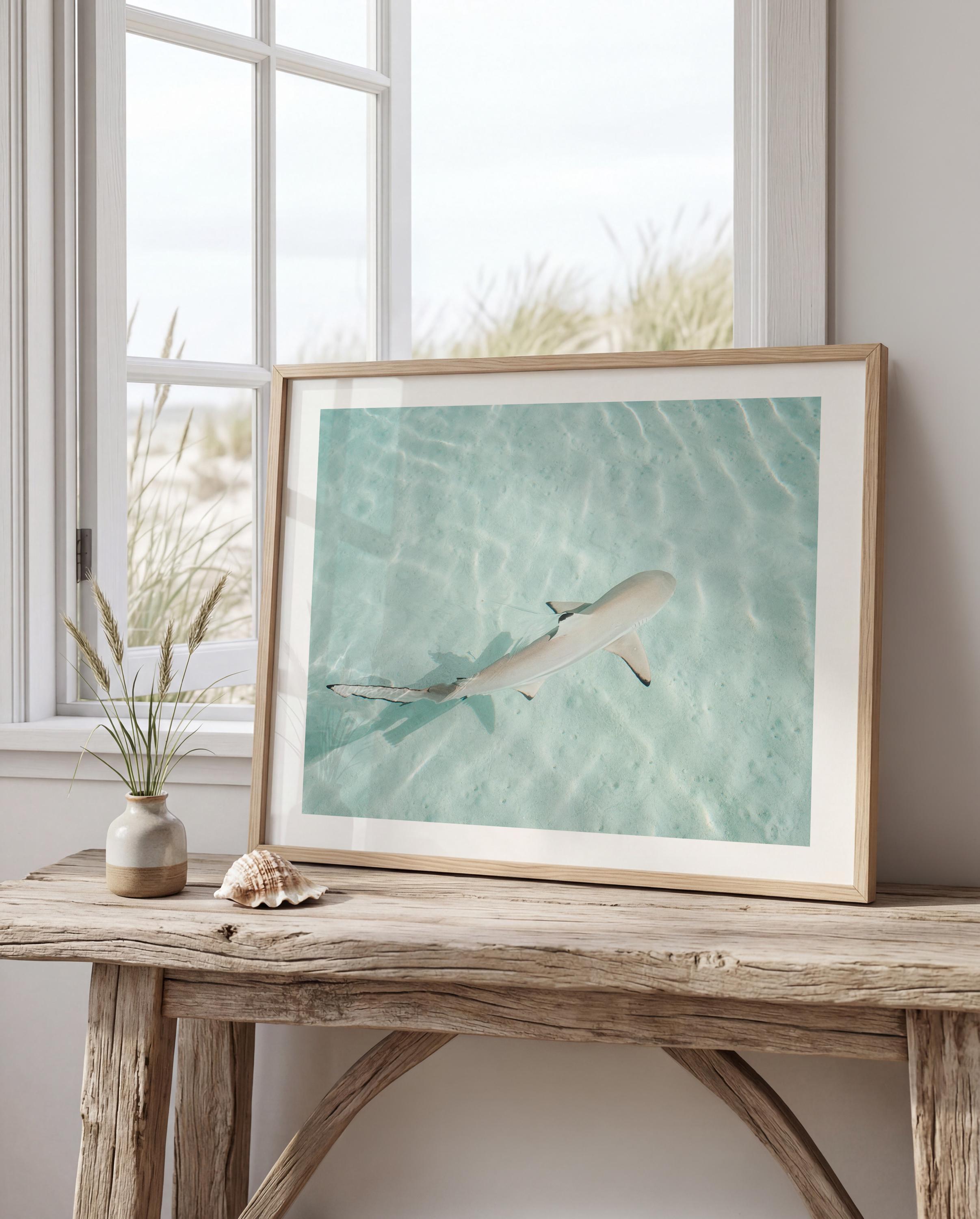 Minimalist Coastal Prints, Pastel Beach Wall Art, Boho Coastal Photography, Ocean Digital Poster, Shark Print, Printable Wall Art