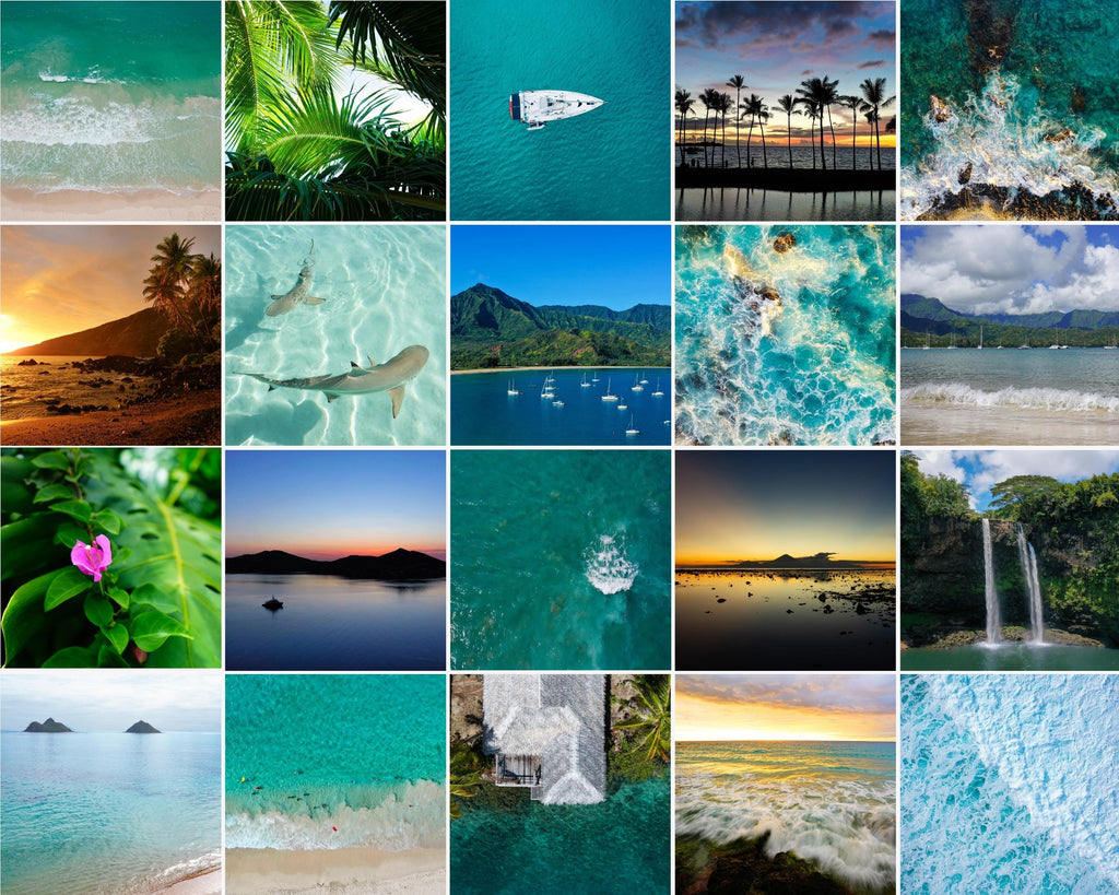 Coastal 100+ Prints, beach gallery wall set, coastal photography, summer ocean digital posters, printable wall art, shark art, Beach BUNDLE