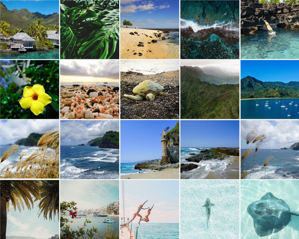 Coastal 100+ Prints, beach gallery wall set, coastal photography, summer ocean digital posters, printable wall art, shark art, Beach BUNDLE