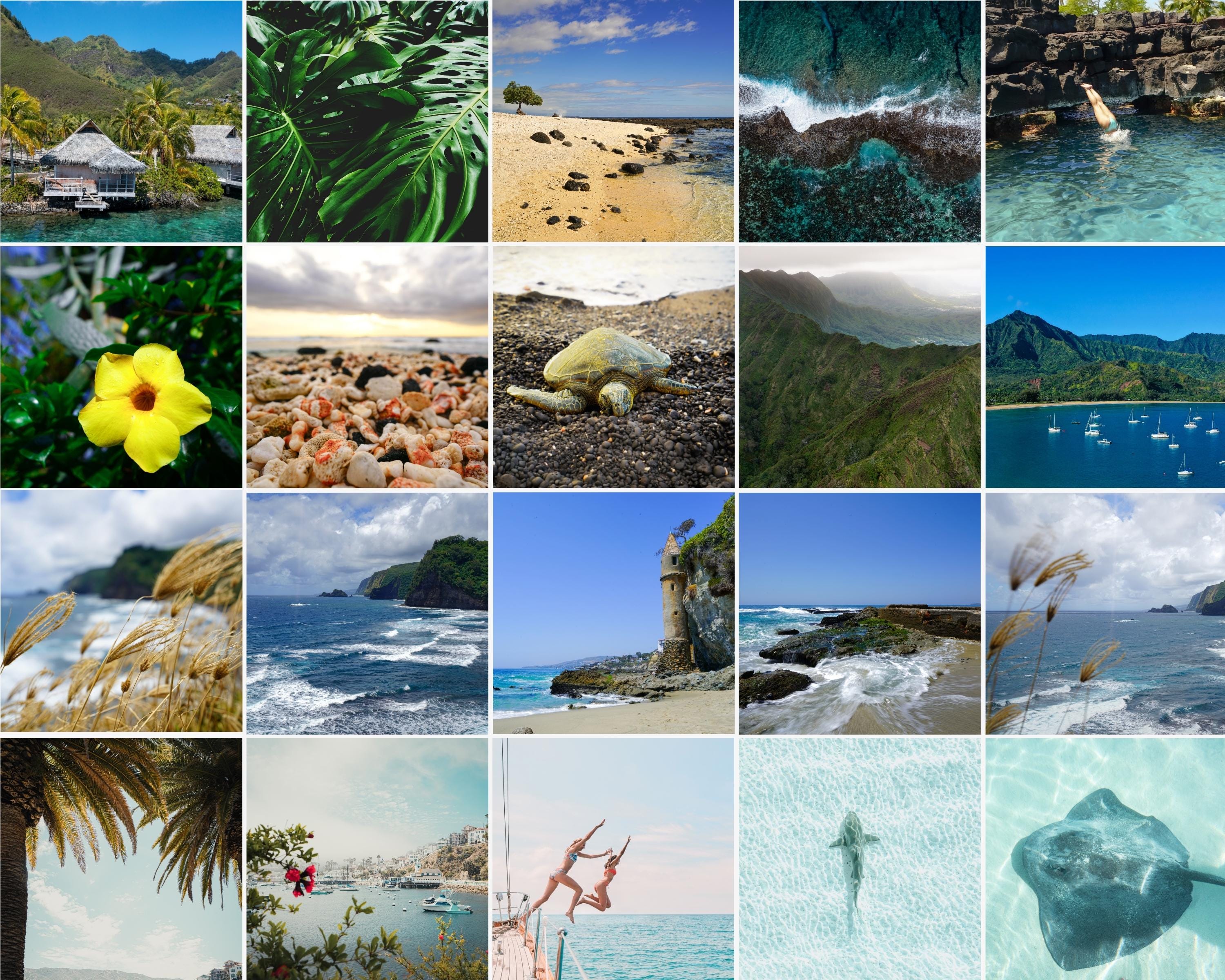 Coastal 100+ Prints, beach gallery wall set, coastal photography, summer ocean digital posters, printable wall art, shark art, Beach BUNDLE