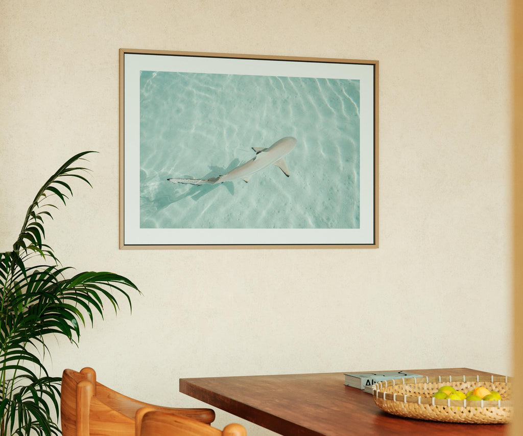 Minimalist Coastal Prints, Pastel Beach Wall Art, Boho Coastal Photography, Ocean Digital Poster, Shark Print, Printable Wall Art