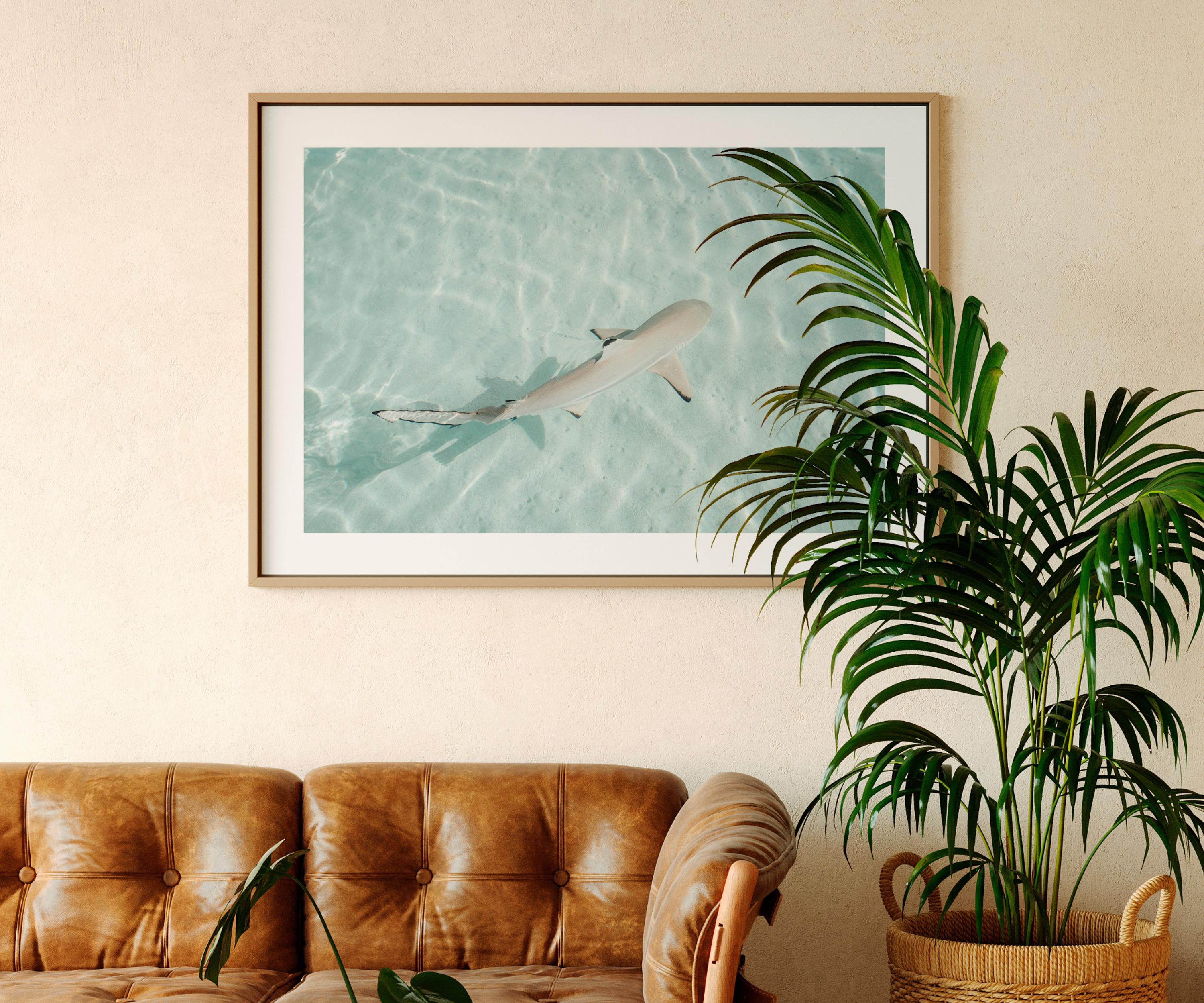 Minimalist Coastal Prints, Pastel Beach Wall Art, Boho Coastal Photography, Ocean Digital Poster, Shark Print, Printable Wall Art