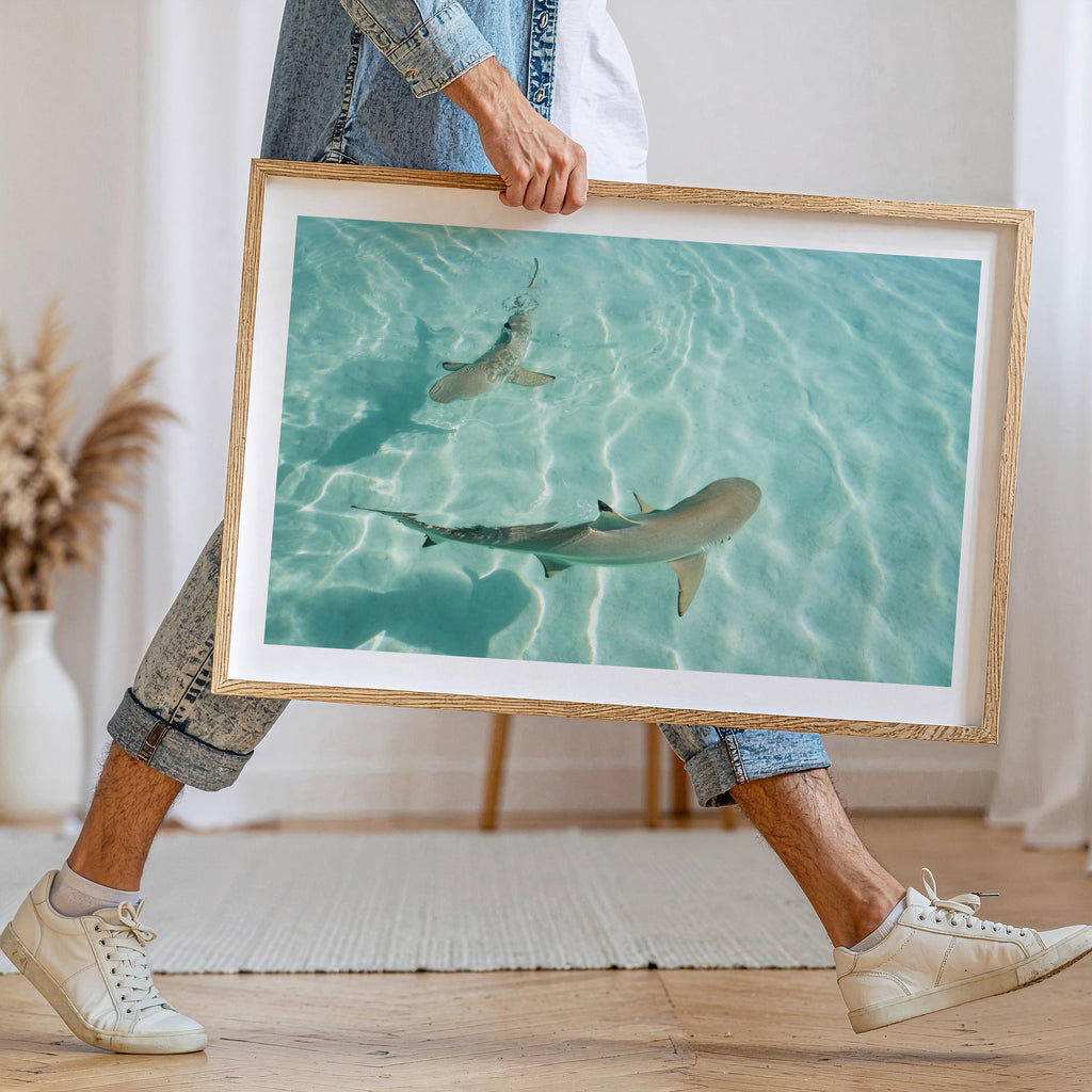 Shark Drone Print, Ocean Print, Ocean Wall Decor, Shark Art, Shark Gifts, Coastal Decor, Tropical Wall Art, Beach Poster, Turquoise Art