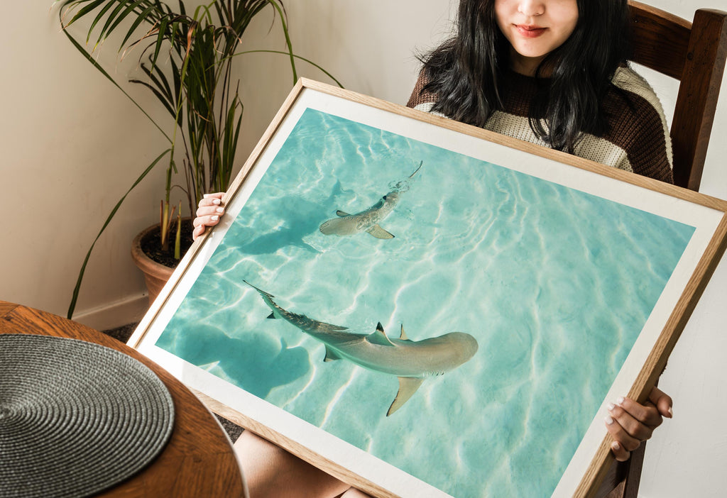 Shark Drone Print, Ocean Print, Ocean Wall Decor, Shark Art, Shark Gifts, Coastal Decor, Tropical Wall Art, Beach Poster, Turquoise Art