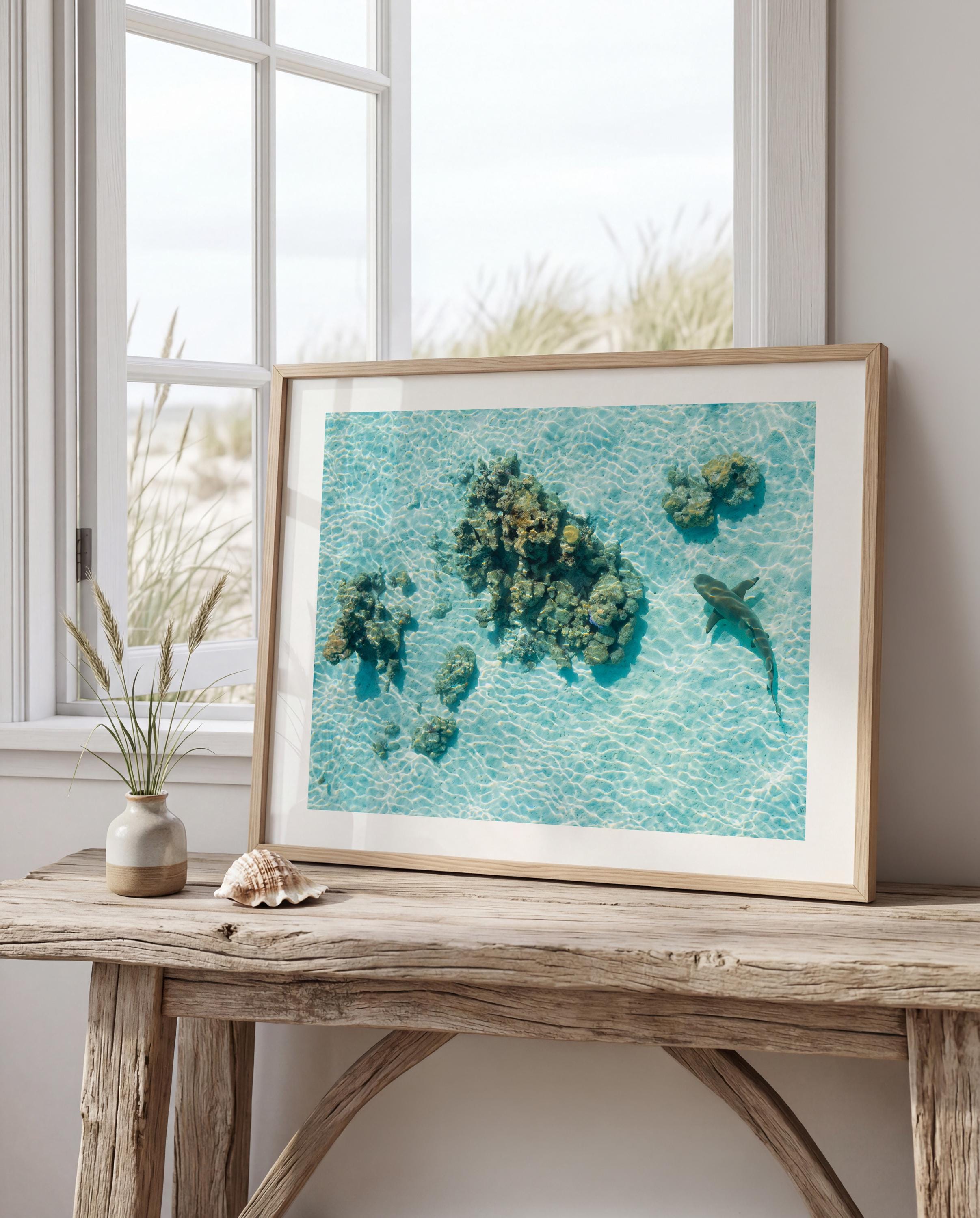 Coastal Prints, Beach Gallery Wall Art, Boho Coastal Photography, Summer Ocean Digital Posters, Shark Gift, Shark Art Print