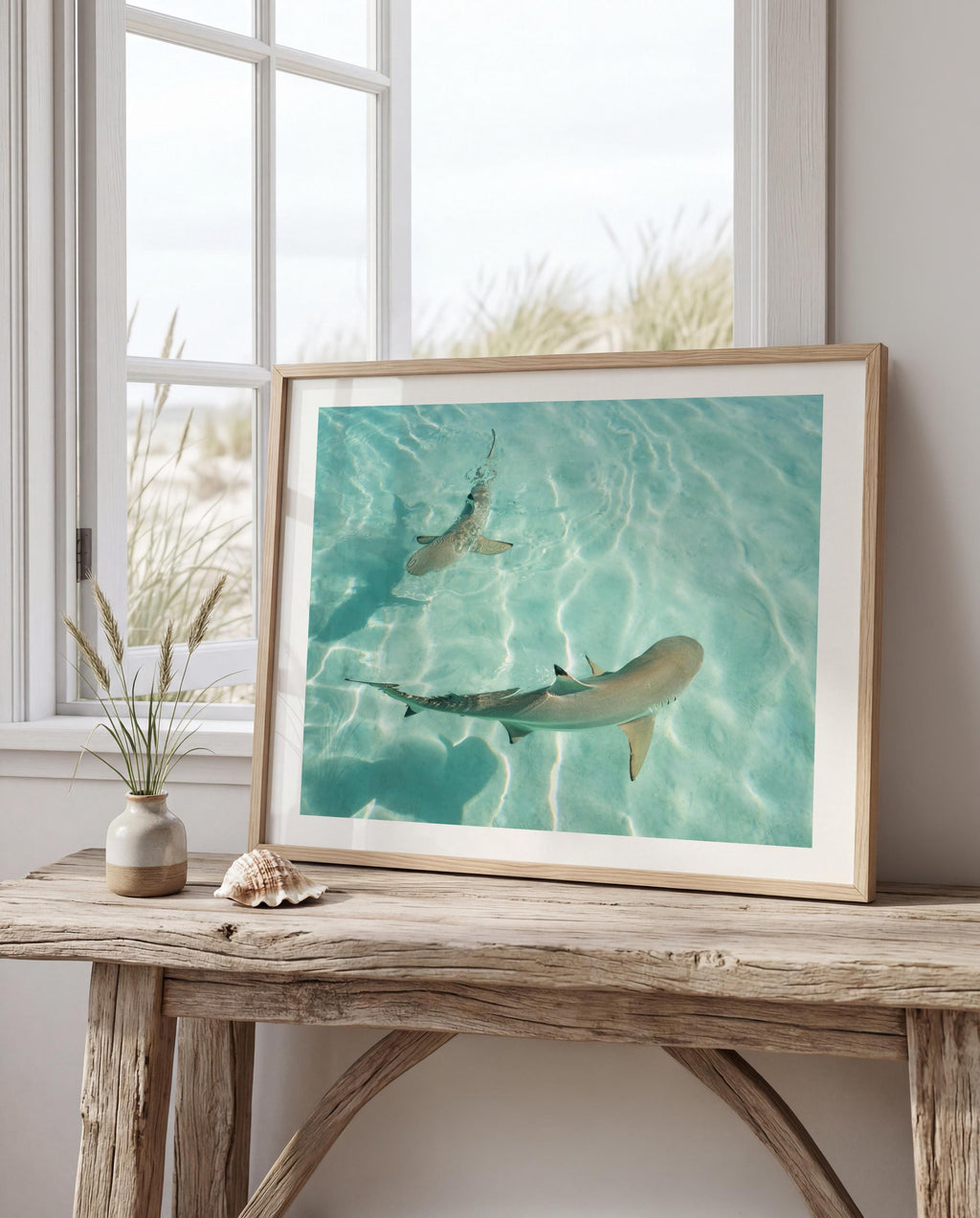Shark Drone Print, Ocean Print, Ocean Wall Decor, Shark Art, Shark Gifts, Coastal Decor, Tropical Wall Art, Beach Poster, Turquoise Art