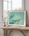 Shark Drone Print, Ocean Print, Ocean Wall Decor, Shark Art, Shark Gifts, Coastal Decor, Tropical Wall Art, Beach Poster, Turquoise Art