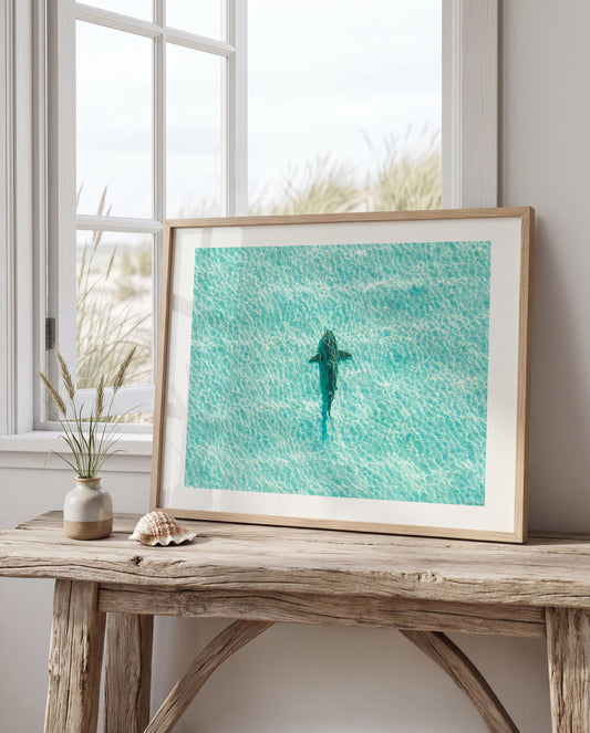 Shark Drone Print, Ocean Print, Ocean Wall Decor, Shark Art, Shark Gifts, Coastal Decor, Tropical Wall Art, Beach Poster, Turquoise Art