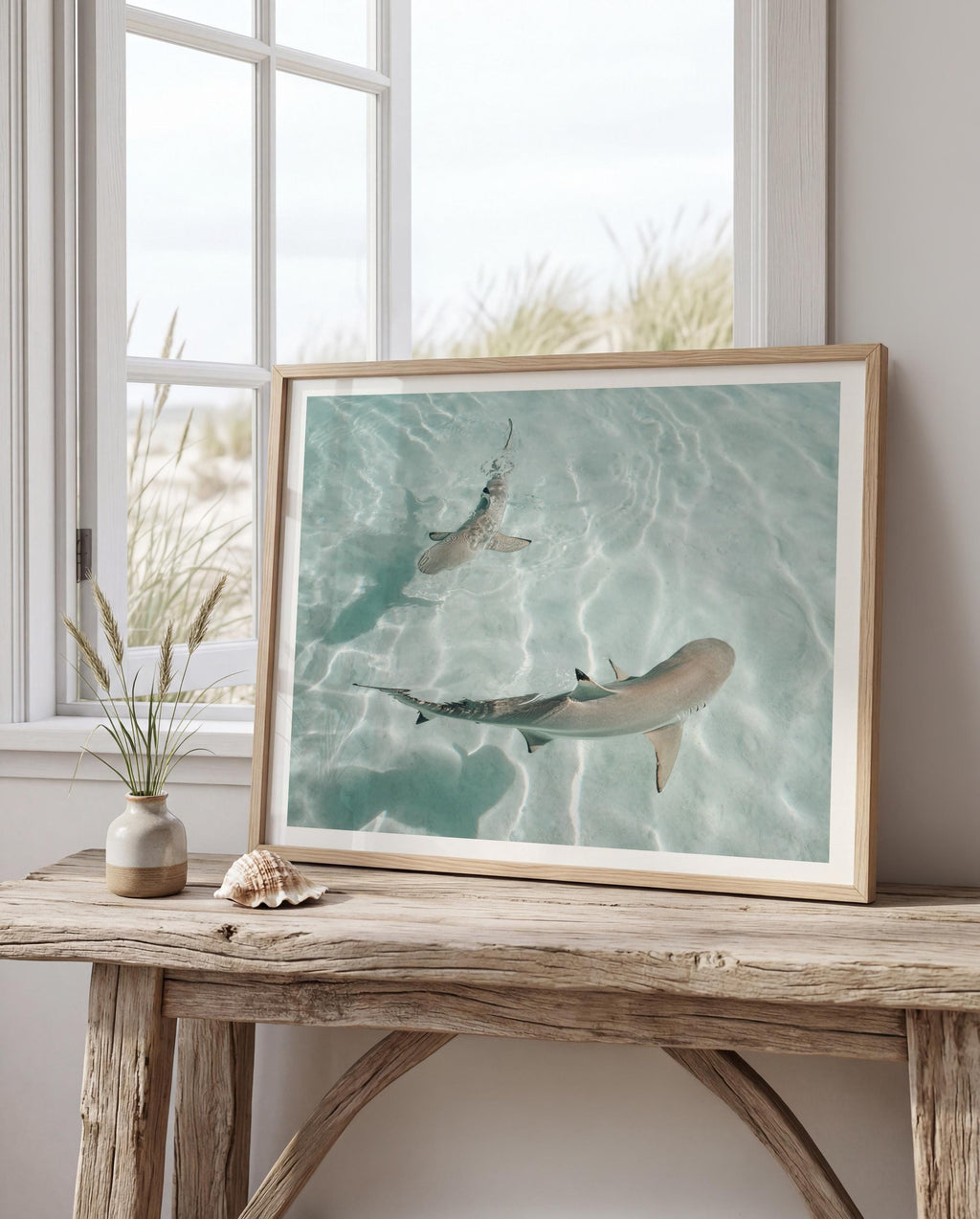 Minimalist Coastal Wall Art, Shark Ocean Photography Print, Neutral Beach Decor, Tropical Tahiti Printable, Coastal Bathroom Decor