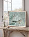 Minimalist Coastal Wall Art, Shark Ocean Photography Print, Neutral Beach Decor, Tropical Tahiti Printable, Coastal Bathroom Decor