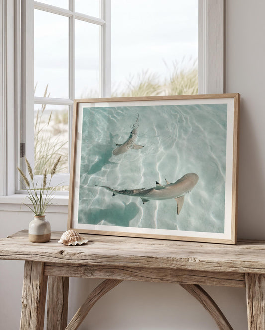 Minimalist Coastal Wall Art, Shark Ocean Photography Print, Neutral Beach Decor, Tropical Tahiti Printable, Coastal Bathroom Decor