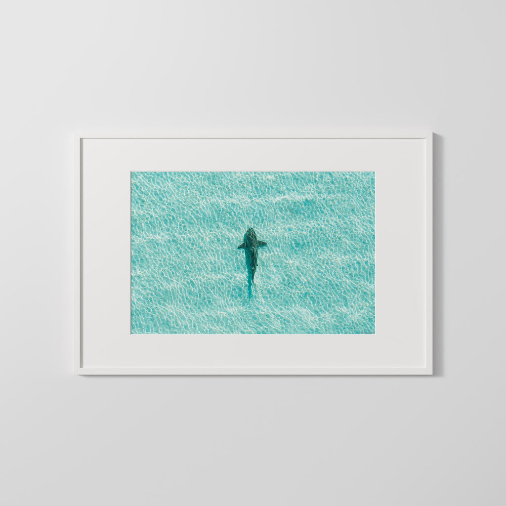 Ocean Coastal Wall Art, FRAMED or UNFRAMED Coastal Decor, Shark Art Print, Ocean Art Print, Shark Art, Shark Gifts, Large Blue Wall Art