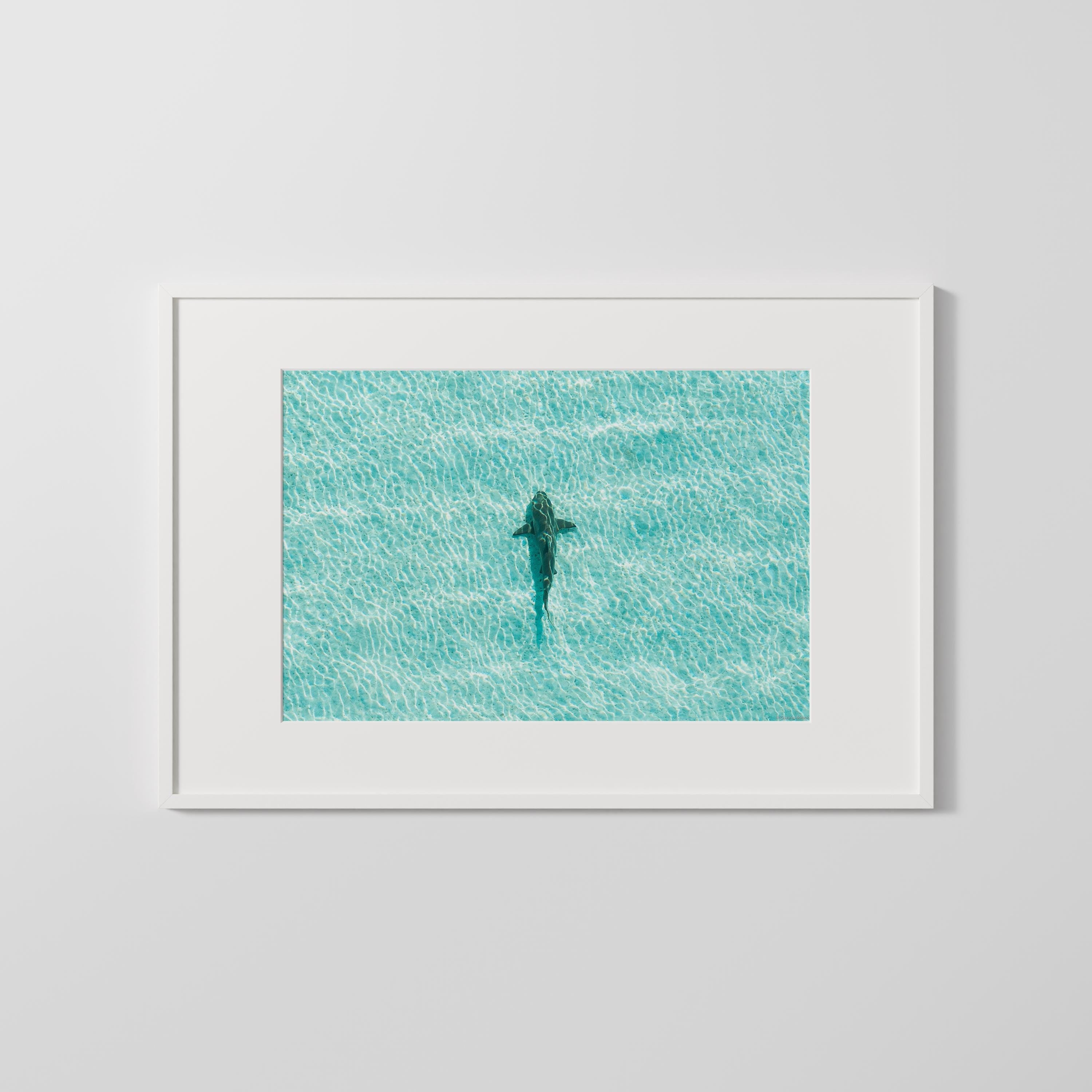 Ocean Coastal Wall Art, FRAMED or UNFRAMED Coastal Decor, Shark Art Print, Ocean Art Print, Shark Art, Shark Gifts, Large Blue Wall Art