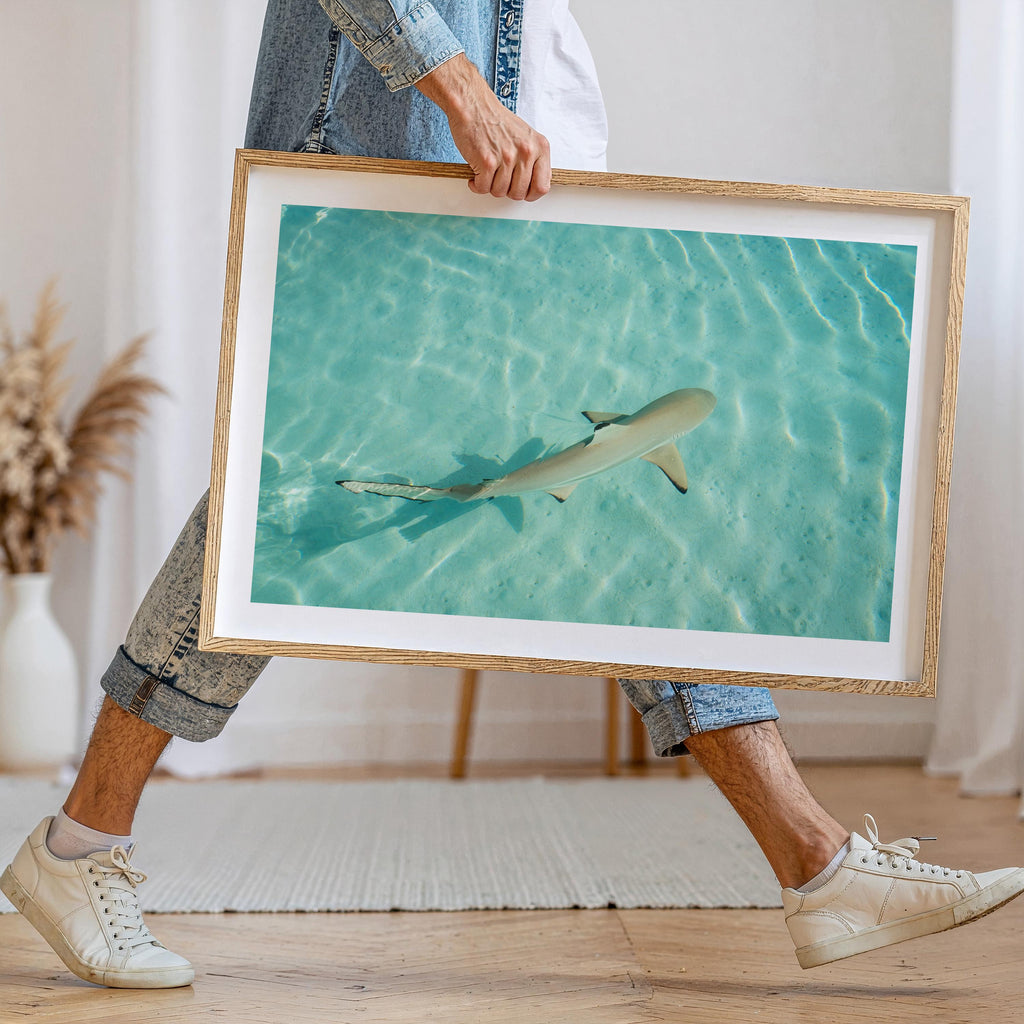 Coastal Wall Art Print, Beach House Decor, Nautical Poster, Ocean Aesthetic, Sea Themed Art, Digital Download, Shark Wall Print, Shark Gift