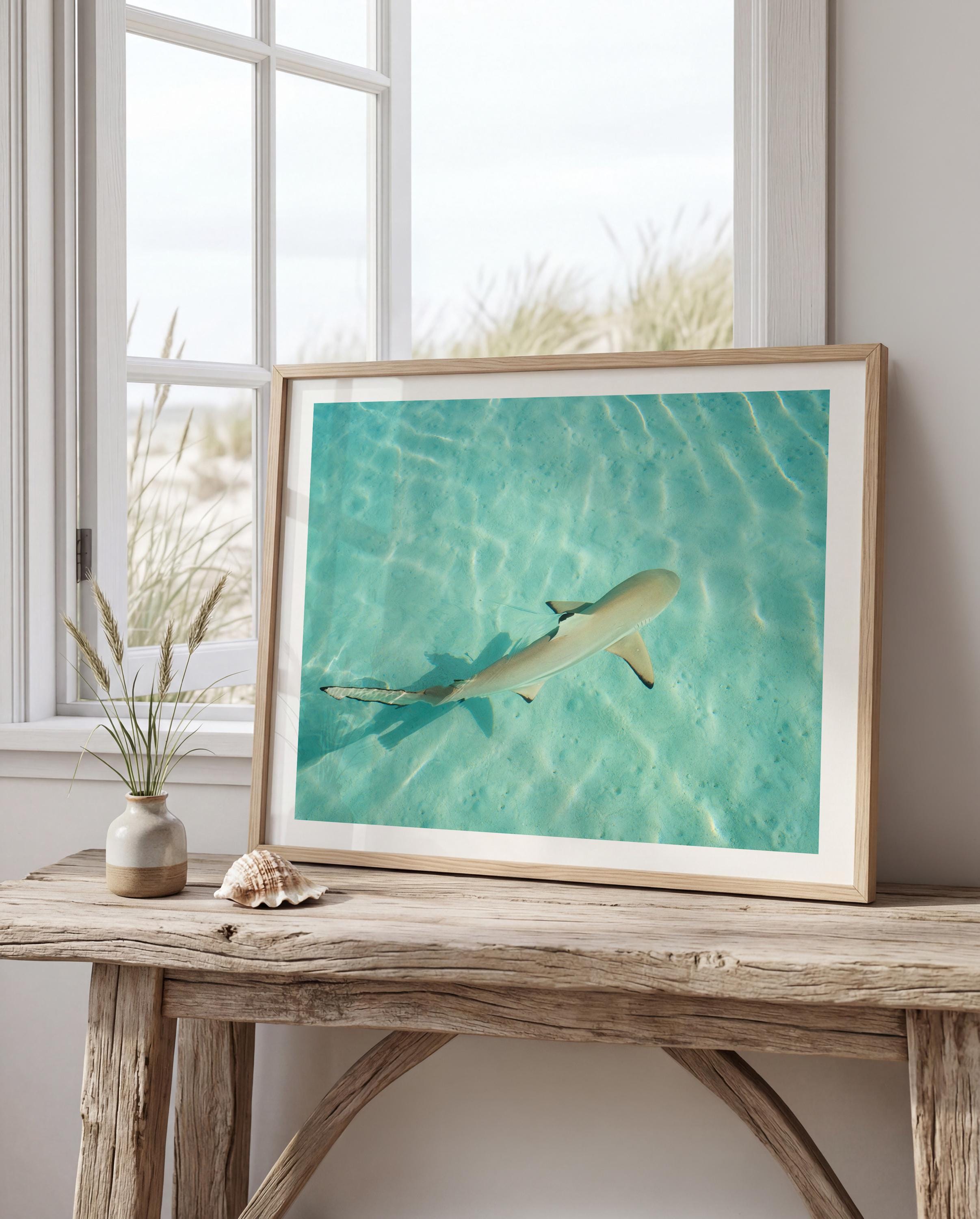 Coastal Wall Art Print, Beach House Decor, Nautical Poster, Ocean Aesthetic, Sea Themed Art, Digital Download, Shark Wall Print, Shark Gift