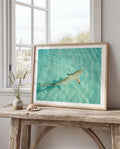 Coastal Wall Art Print, Beach House Decor, Nautical Poster, Ocean Aesthetic, Sea Themed Art, Digital Download, Shark Wall Print, Shark Gift