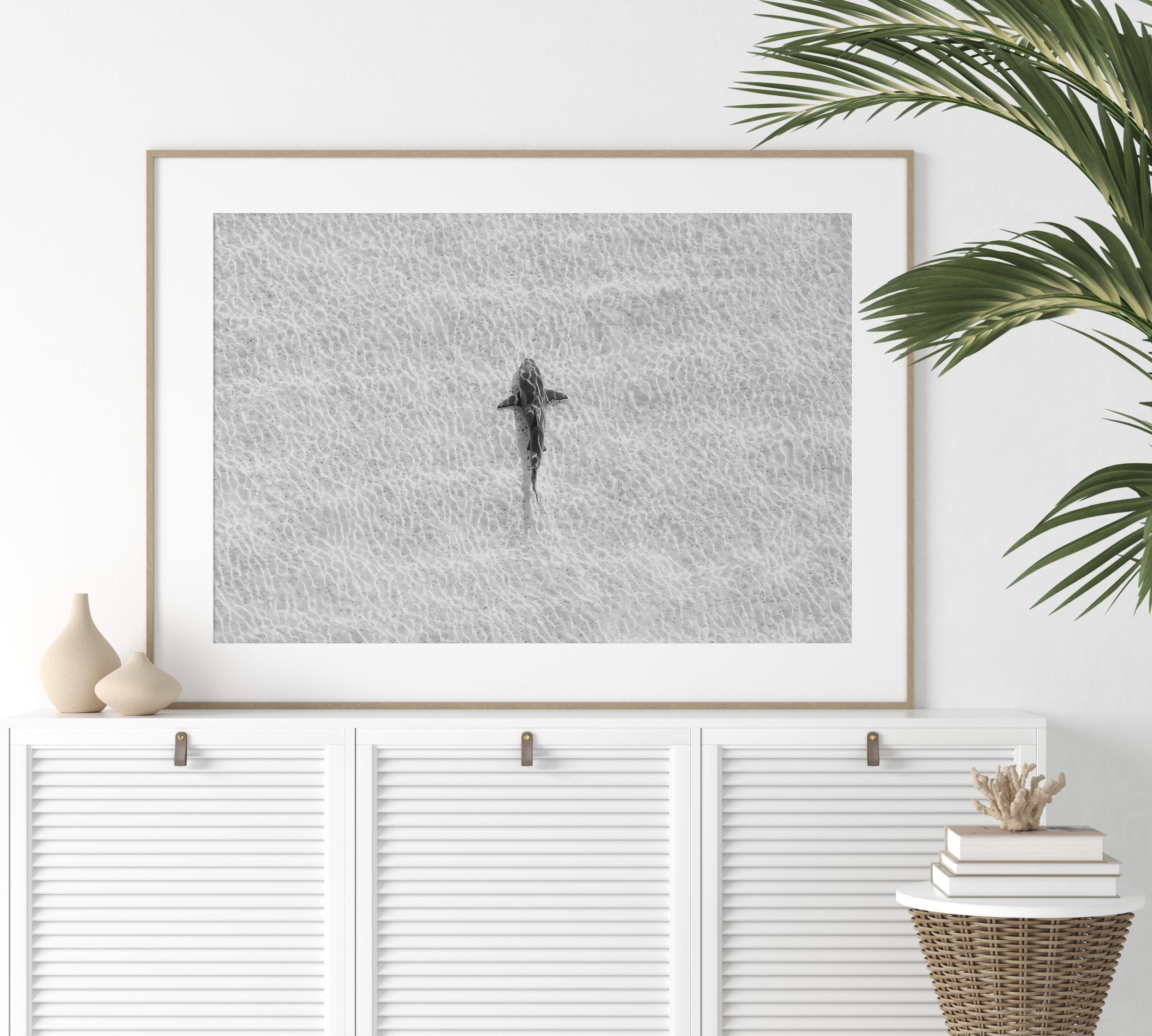 Black and White Coastal Prints, Shark Art, B&W Boho Coastal Photography, Summer Ocean Digital Poster, Printable Wall Art, Digital Download
