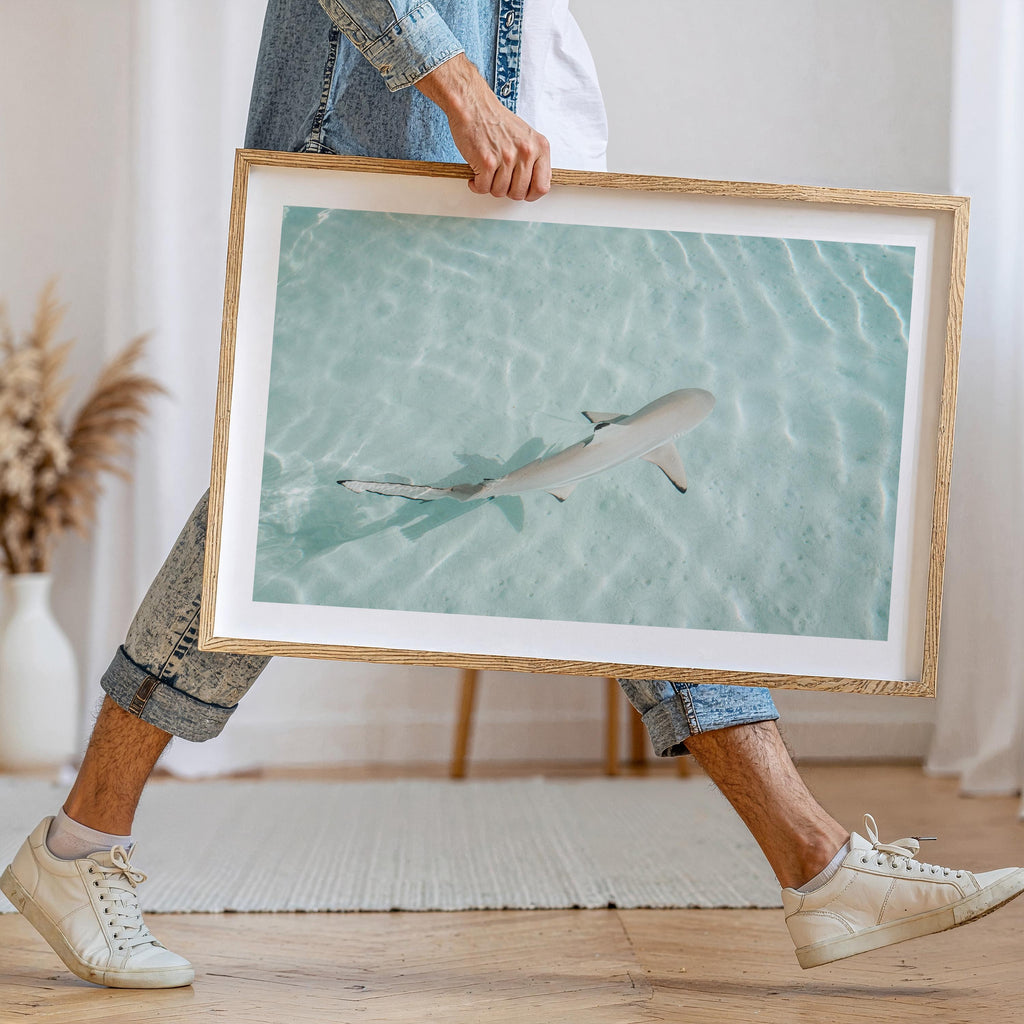 Minimalist Coastal Prints, Pastel Beach Wall Art, Boho Coastal Photography, Ocean Digital Poster, Shark Print, Printable Wall Art